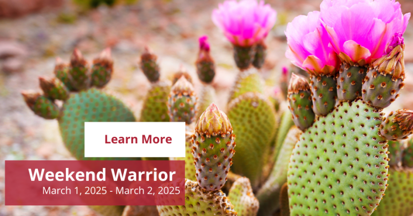 Weekend Warrior: March 1-2, 2025 | Amy Jones Group